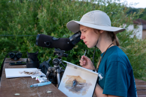 Klaudia Makowska paints Ardea cinerea colony © Piotr Bednarek